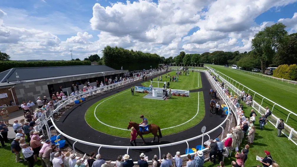 🏇 사가 경마장 (사가케이바조) 이미지 6